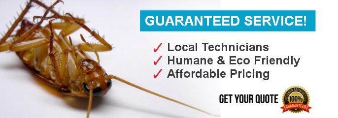 All Track Exterminators business image in Pasadena, California