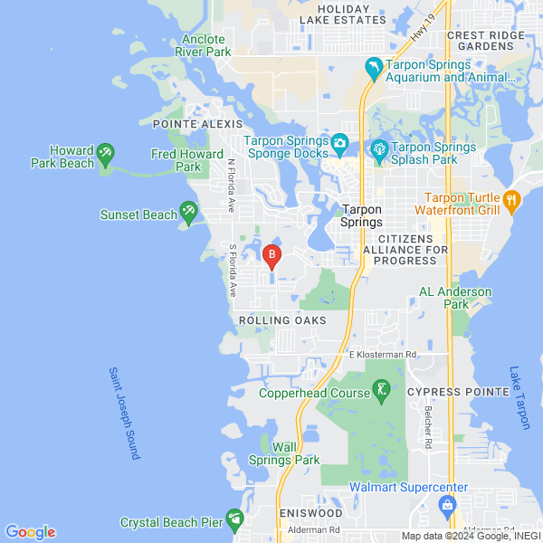 Contactbots.ai location map: 1207 Crossbow Lane, Tarpon Springs, Florida
