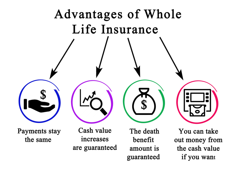 Douglasville Life Insurance Experts business image in Douglasville, Georgia